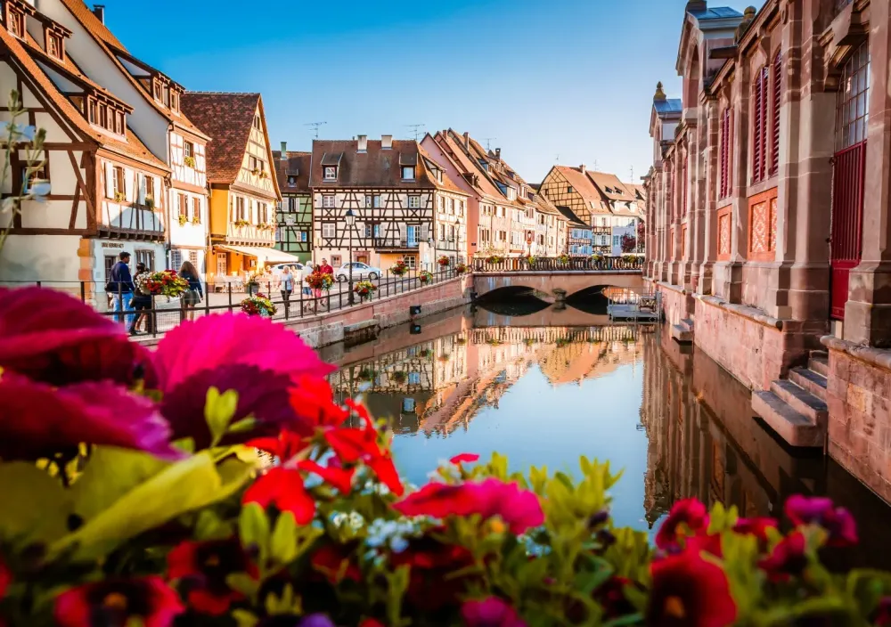 Alsace (1)